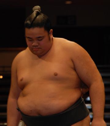 時王丸力士情報 大相撲.jp